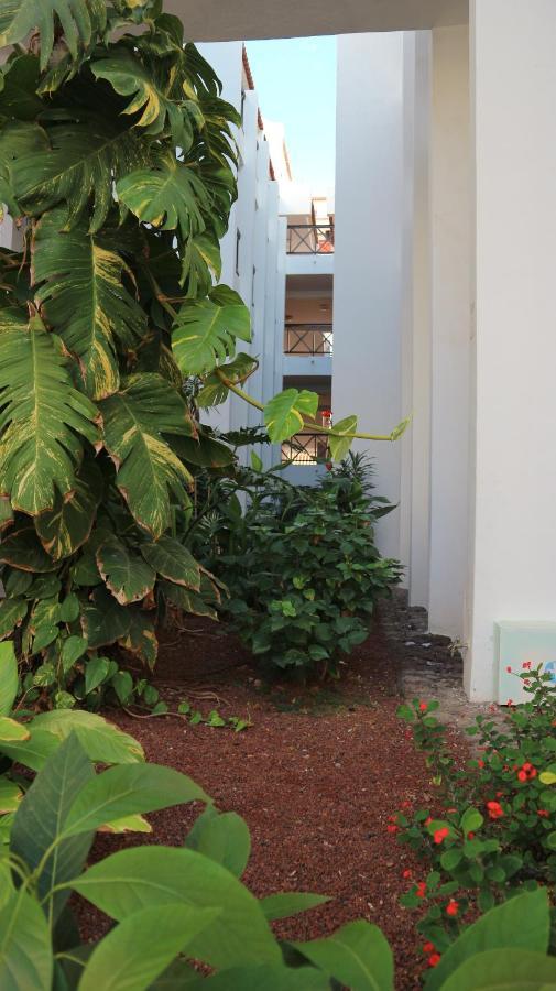 Apartamento En Tenerife Sur, Parque Santiago 2 Arona  Exterior foto